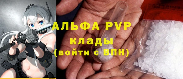 мяу мяу мука Аркадак